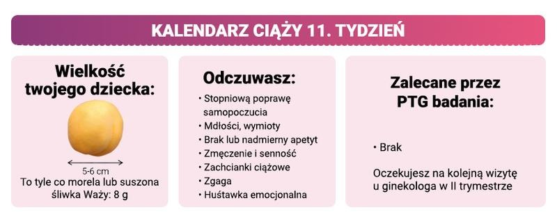 11. tydzień ciąży: rozwój dziecka, objawy i ważne badania