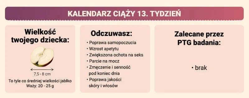 13. tydzień ciąży: który to miesiąc, rozwój dziecka i ważne badania