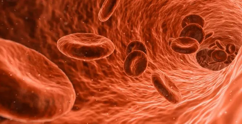 Anemia w ciąży: jak bezpiecznie uzupełnić żelazo i poprawić wyniki?