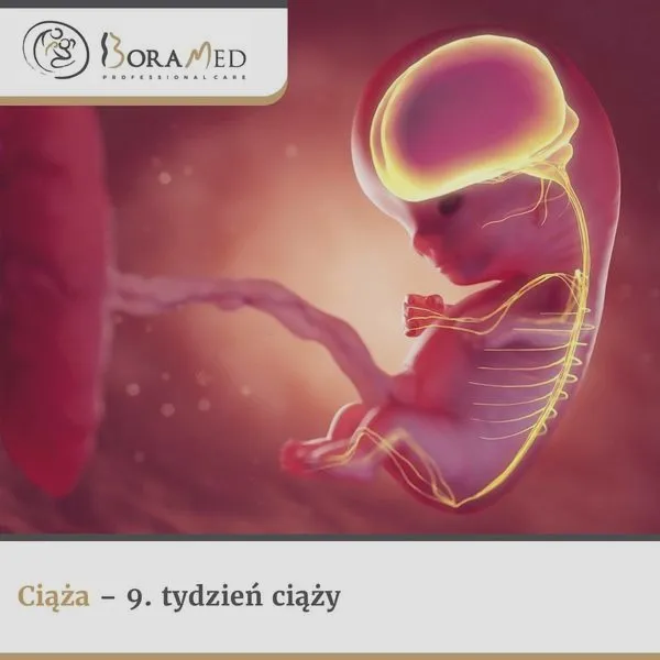 Etapy ciąży tydzień po tygodniu – rozwój dziecka i zmiany w ciele