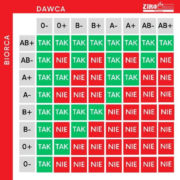 Grupa krwi A Rh dodatnia – co oznacza dla zdrowia i w praktyce?