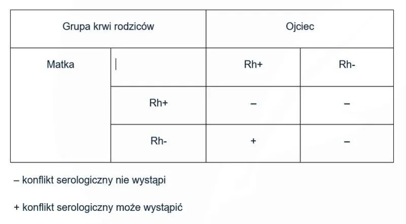 Grupa krwi w ciąży – jak odczytać wynik i ocenić ryzyko konfliktu